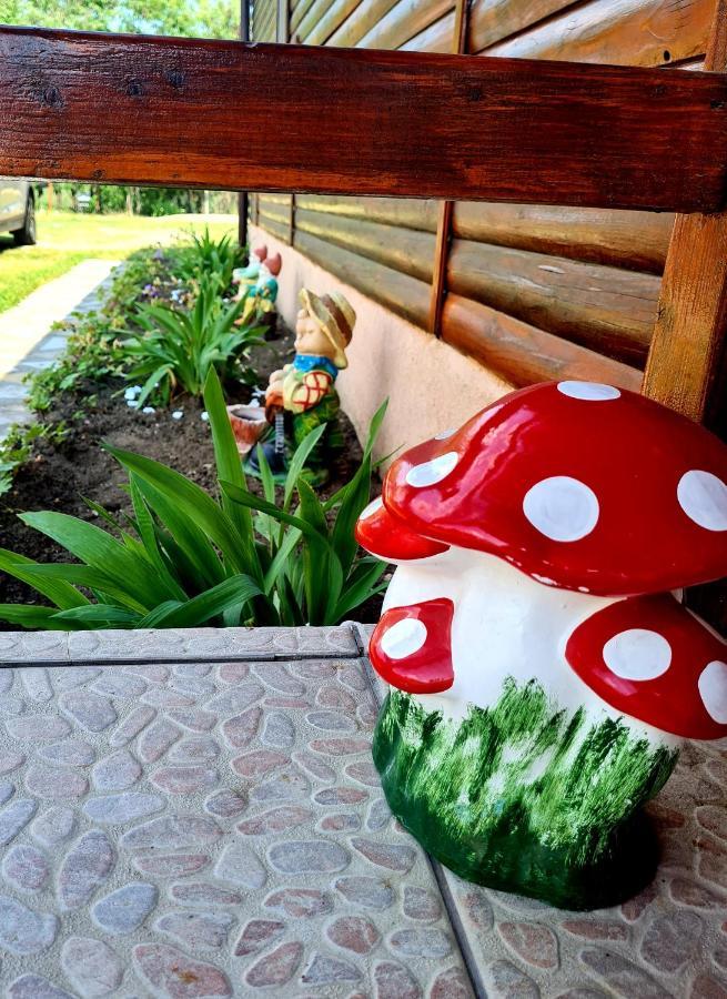 Hotel Pensiunea Sanziana Gran Varadino Esterno foto